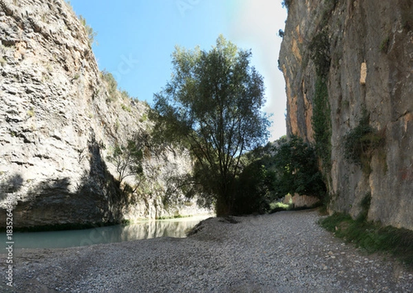 Fototapeta Pasareleas