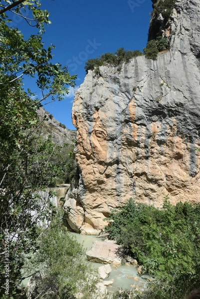 Fototapeta Pasareleas