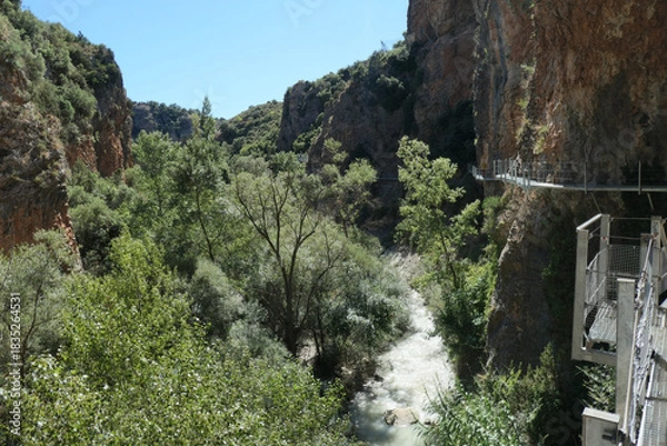 Fototapeta Pasareleas