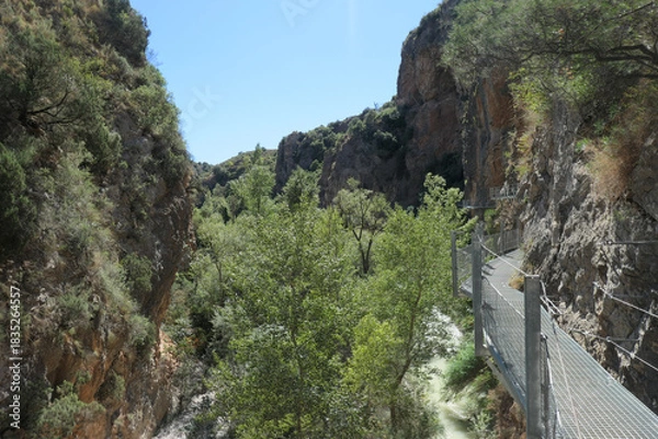 Fototapeta Pasareleas