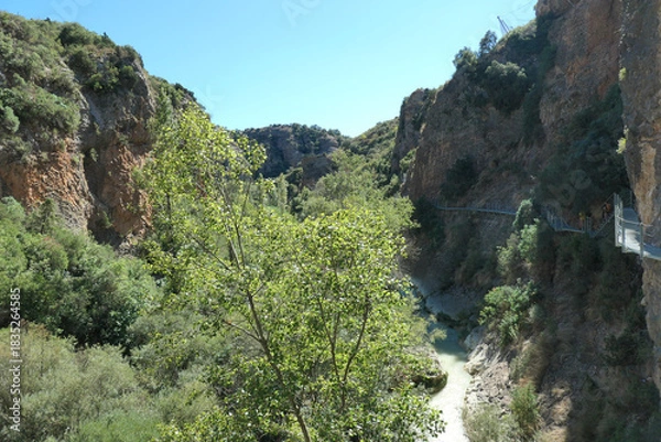Fototapeta Pasareleas