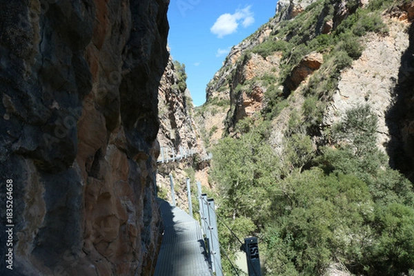 Fototapeta Pasareleas