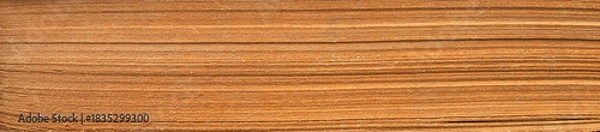 Fototapeta Book background with old pages, end view.