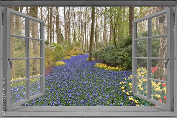 Obraz View from the big window on the garden