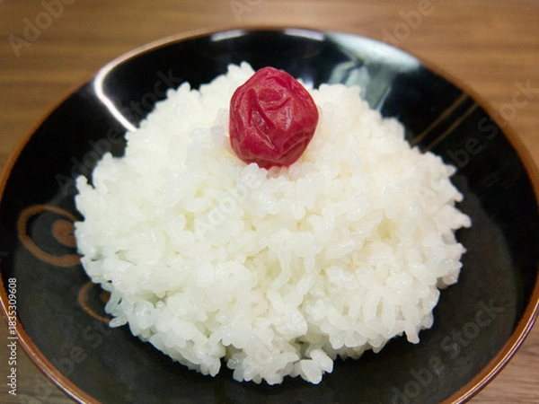 Obraz 梅干しと白米