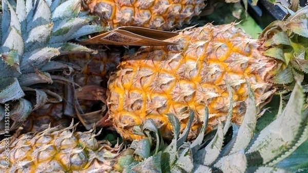 Fototapeta Fresh organic pineapples displayed for sale, Close up of ripe tropical pineapples with detailed skin texture
