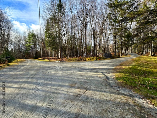 Obraz path in the park