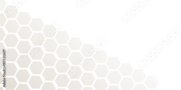 Fototapeta "Minimal white hexagon pattern background with soft gradient tones. Clean geometric honeycomb design ideal for modern presentations,tech templates,banners, websites,and professional graphic projects.