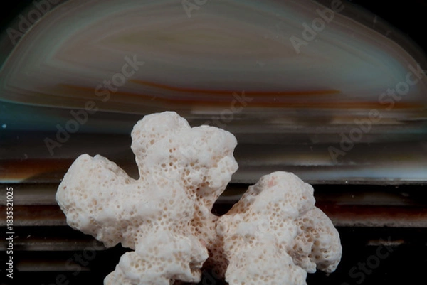 Obraz -Stillleben mit KI erstellt+bearbeitet