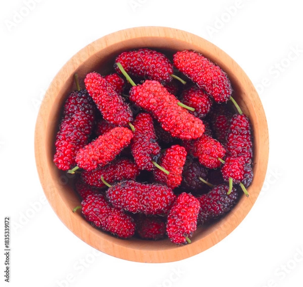 Obraz Mulberry berry isolated on white background.