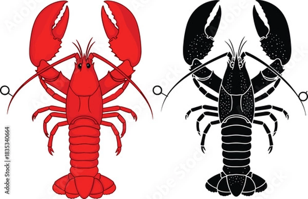 Obraz Red and black lobster illustration, detailed crustacean artwork, seafood animal drawing, marine creature design, symmetrical lobster graphic for culinary and ocean themes