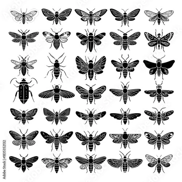 Fototapeta Insect icons set, various bug silhouettes for design on transparent background