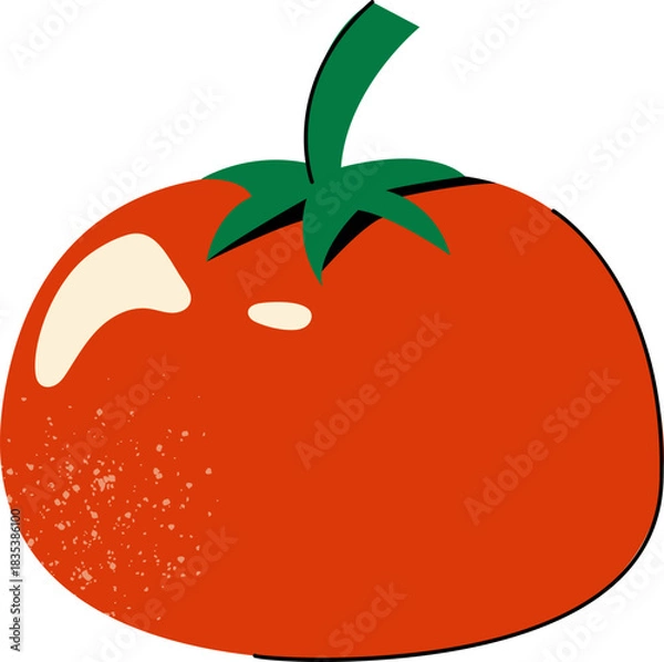 Obraz Fresh Tomato Vector Illustration