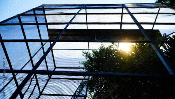 Fototapeta Steel wire chain link fence seamless pattern. Metal lattice with rhombus, diamond shape silhouette. Barbed wire fence and steel fence in the zoo. Bird cage close up. Bird house with wired fence