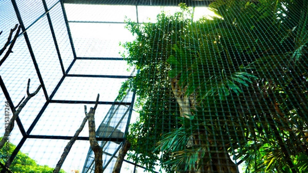 Fototapeta Steel wire chain link fence seamless pattern. Metal lattice with rhombus, diamond shape silhouette. Barbed wire fence and steel fence in the zoo. Bird cage close up. Bird house with wired fence