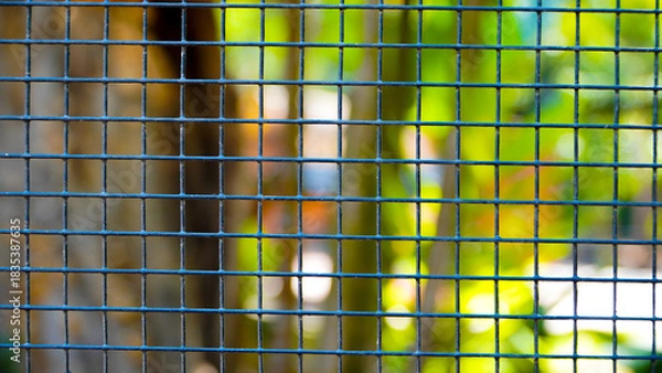 Fototapeta abstract colorful background. Steel wire chain link fence seamless pattern. Metal lattice with rhombus, diamond shape silhouette. Barbed wire fence and steel fence in the zoo. Bird cage close up. Bird