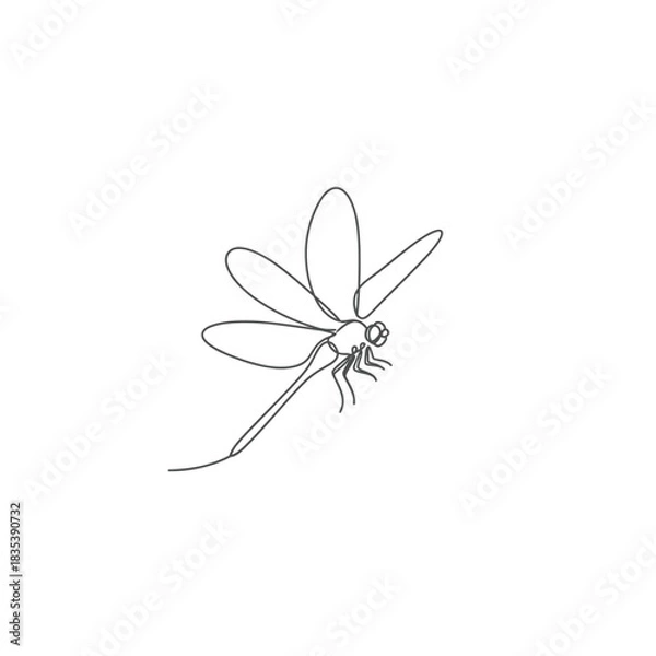 Obraz Flying dragonfly insect continuous line nature outline vector illusration