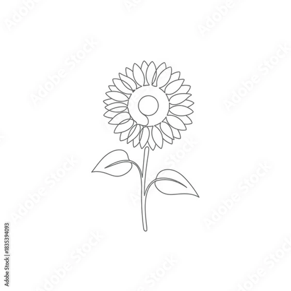 Obraz Sunflower continuous line single stem floral outline vector illusration