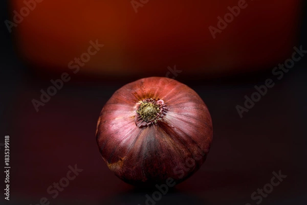 Obraz oignon rouge entier