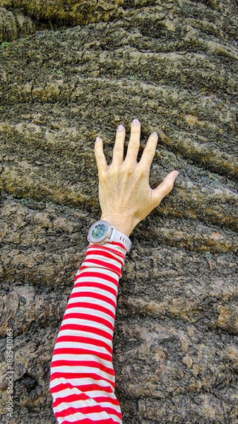 Fototapeta Woman hugging a large tree trunk