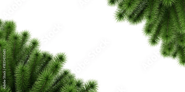 Obraz christmas tree branches frame isolated on white