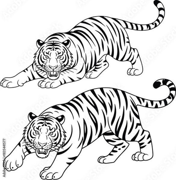 Obraz Hand drawn tiger line art illustration set, aggressive striped wild animal outline for coloring book, tattoo design, wildlife vector clipart