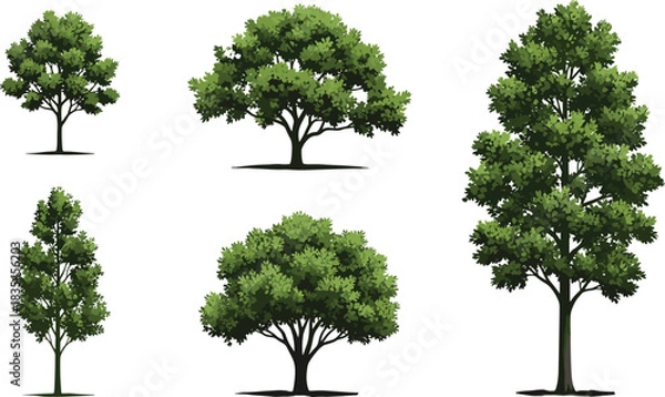 Obraz Set of Green Trees Collection with Various Shapes and Sizes, Realistic Vector Illustration of Nature, Forest, and Park Elements for Landscape Design and Architecture.