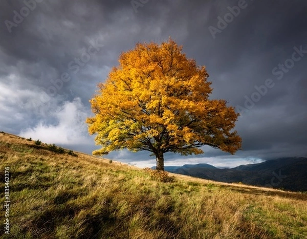 Obraz a solitary yellow tree with vibrant foliage stands on a grassy hill under a moody sky