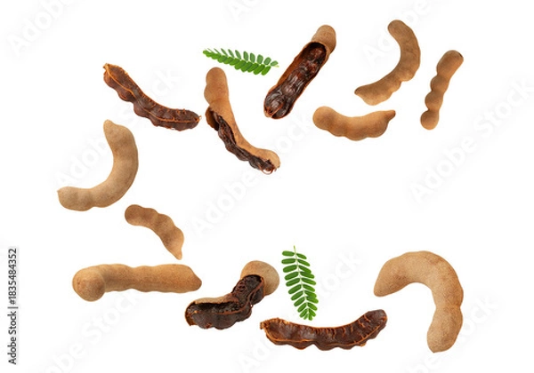 Fototapeta Falling Sweet Tamarind, Cutout, Full Depth Of Field.