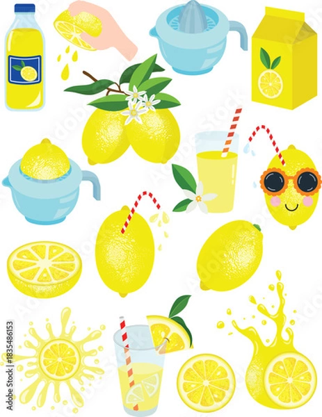 Obraz Bright Collection of Lemon and Lemonade