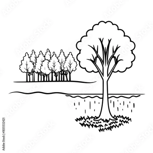 Fototapeta Adobe Illustrator Artwork CAD Drawings. Minimal style cad tree line side view, set of graphics trees elements outline symbol for architecture and landscape design drawing. Vector illustration
