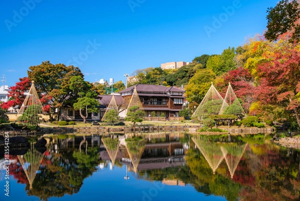 Fototapeta 東京都文京区 紅葉の肥後細川庭園