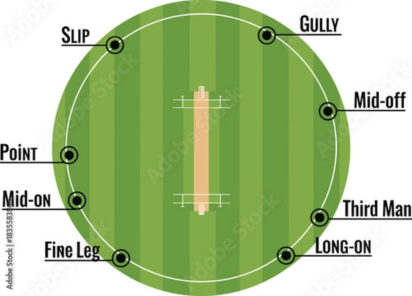Obraz Cricket fielding position diagram—vector of labeled pitch zones including slip, gully, mid-off, third man, long-on 