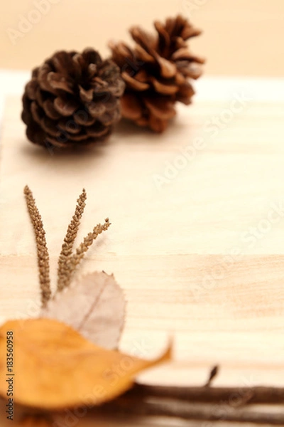 Obraz 松ぼっくりと秋小物の背景素材１