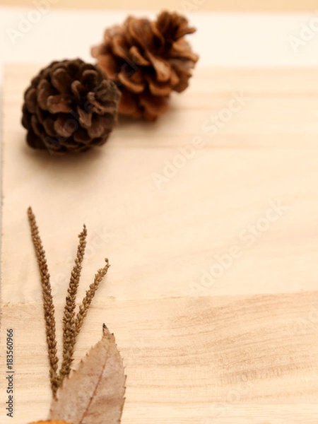 Obraz 松ぼっくりと秋小物の背景素材２