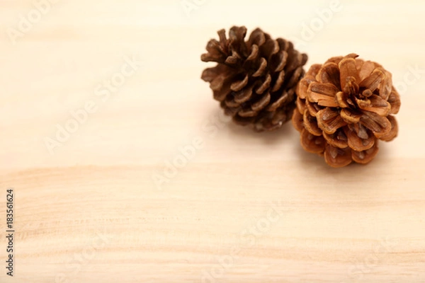 Obraz 松ぼっくり素材３