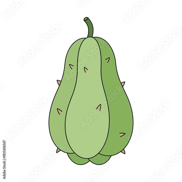 Obraz chayote vegetable vector illustration