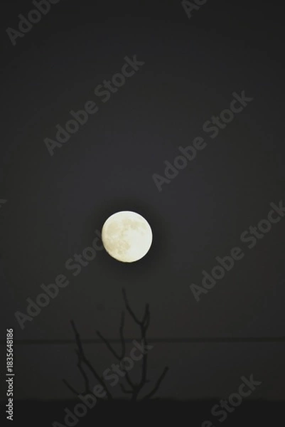 Obraz Full Moon Over Minimal Night