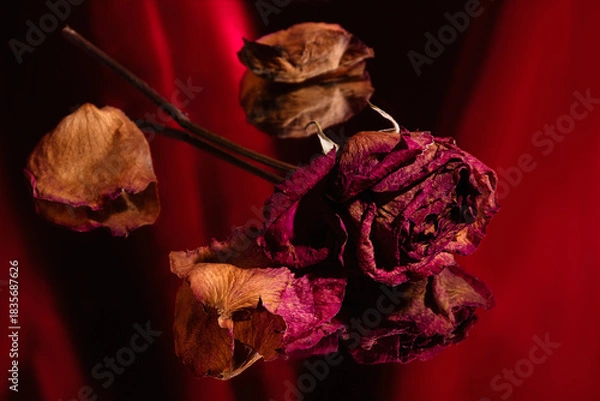 Obraz roses on red mirror reflection