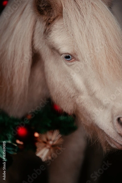 Obraz Weihnachtspony