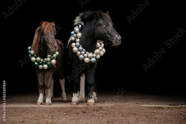 Obraz Weihnachtspony
