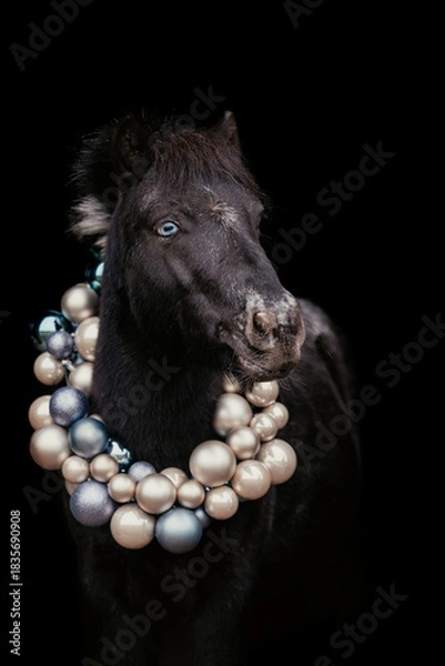 Obraz Weihnachtspony