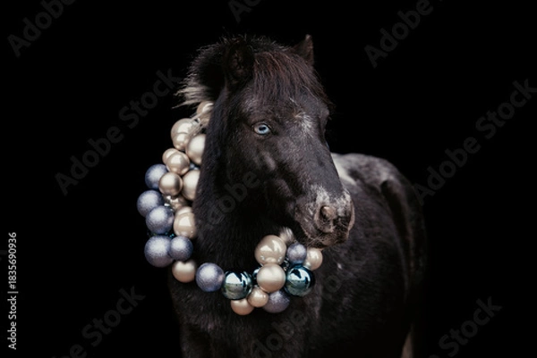 Obraz Weihnachtspony