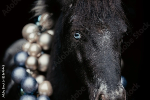 Obraz Weihnachtspony