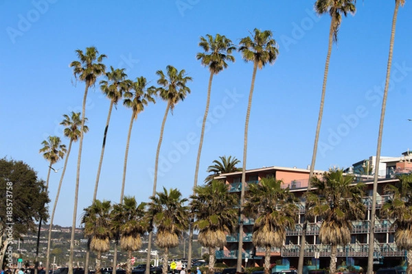 Fototapeta サンディゴの海岸