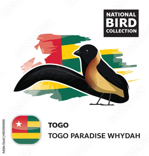 Fototapeta National Bird Set Togo Whydah Vector Character