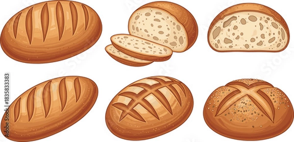 Fototapeta Set of assorted bread loaves including sliced rustic round and artisan styles for bakery food and breakfast vector design