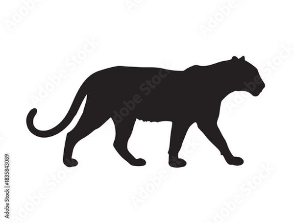 Fototapeta Group image of Chihuahua dog in standing style white background.