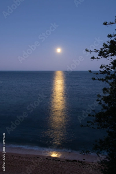 Obraz moonlight on the ocean