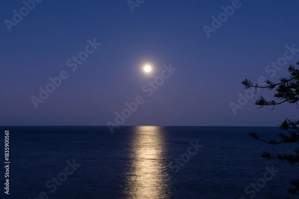 Obraz moonlight on the ocean
